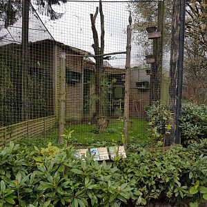 Wader-aviary