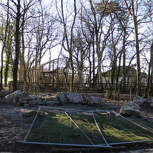 New area set aside for Parma Wallaby