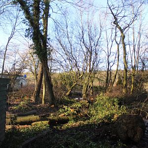 Area for Red Squirrel open exhibit