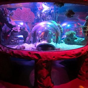 Ocean Caves Exhibits