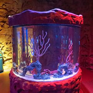 Ocean Caves Exhibits