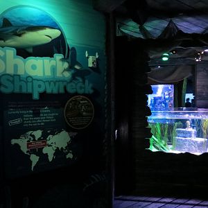 Shark Shipwreck Sign