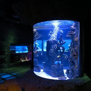 Shark Shipwreck Exhibits