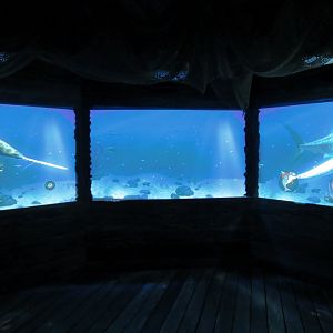 Shark Shipwreck Interactive Game