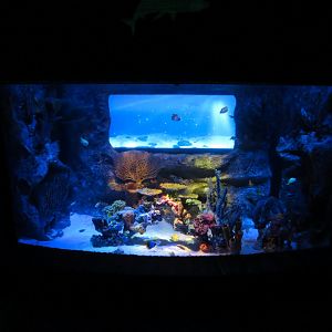 Shark Shipwreck Exhibits