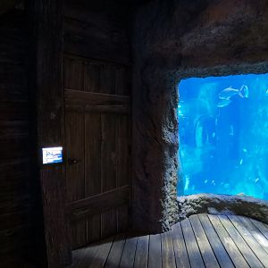 Atlantic Ocean Exhibit