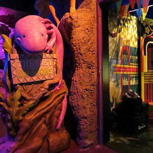 The Last Dragons Sign