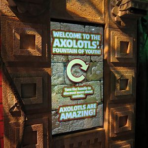 The Last Dragons Graphic