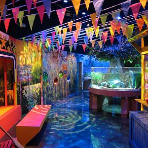 The Last Dragons Exhibits