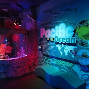 Pacific Ocean Exhibits
