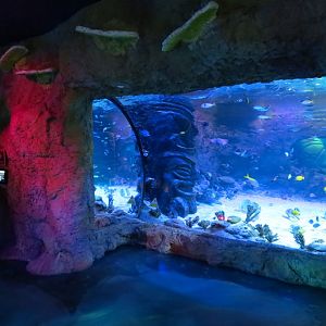 Pacific Ocean Exhibits