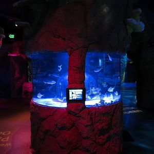 Pacific Ocean Exhibits