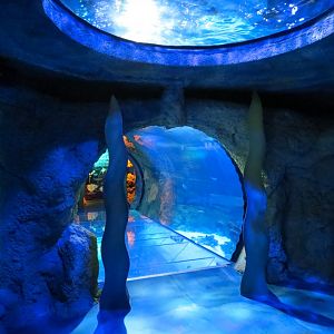 Atlantic Ocean Exhibit