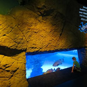 Atlantic Ocean Exhibit