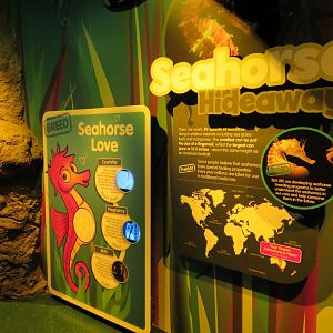 Seahorse Hideaway Exhibits