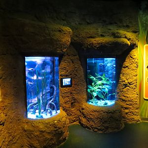 Seahorse Hideaway Exhibits