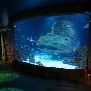 Indian Ocean Exhibit