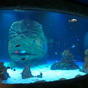 Indian Ocean Exhibit