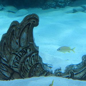 Indian Ocean Exhibit