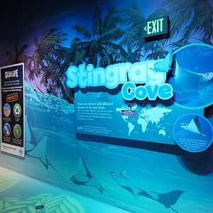 Stingray Cove Sign