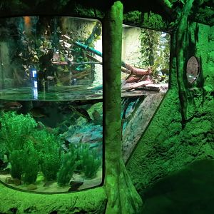 Everglades Wetlands Exhibits