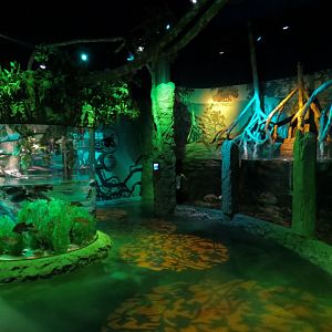 Everglades Wetlands Exhibits