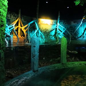 Everglades Wetlands Exhibits