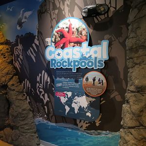 Coastal Rockpools Sign