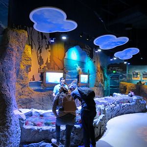 Coastal Rockpools Exhibits