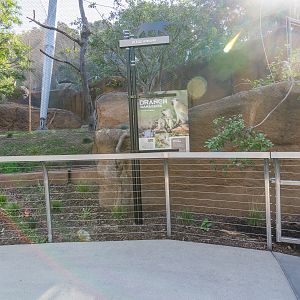 Information sign for vervet monkey.