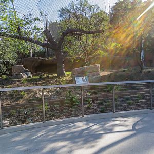 Vervet monkey exhibit.
