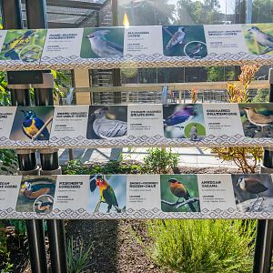 Signs inside lower part of aviary.