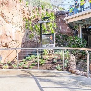 Construction guys inside aviary.