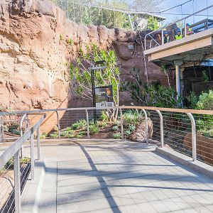 Walkway inside lower aviary