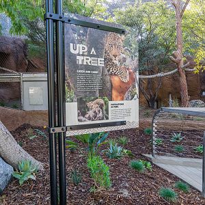 Information sign for leopard.