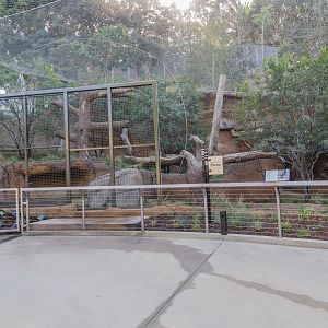 Leopard exhibit.