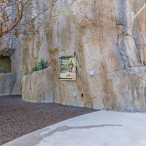 Gelada information sign.