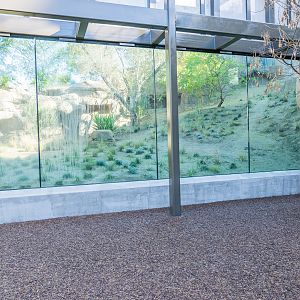 Glass viewing area for geladas.