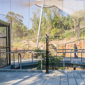 Aviary viewing deck.
