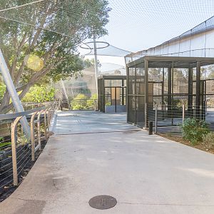 Walkway to upper aviary entrance.