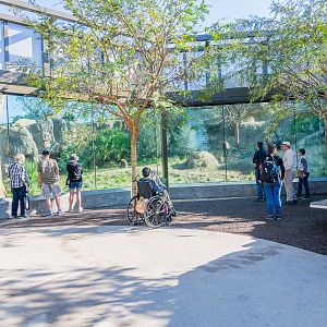 I think this is the last viewing area for baboons.