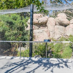 Bateleur Eagle exhibit