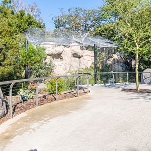 Bateleur Eagle exhibit