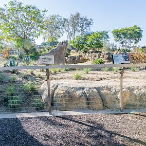 More viewing area for the baboons.
