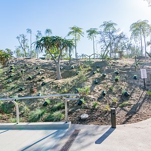 More plants going in today.