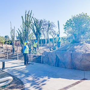 Planting in progress