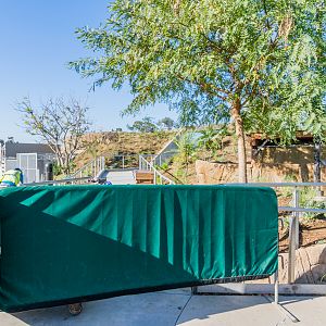Walkway to Baboon exhibit glass viewing area.