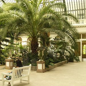 Palm house