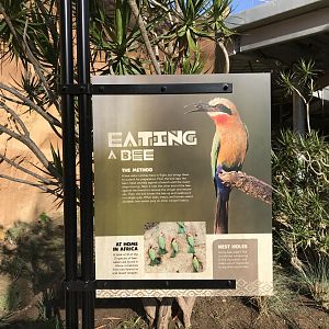 AR Lower Aviary Sign 1