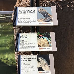 AR Lower Aviary Sign 3